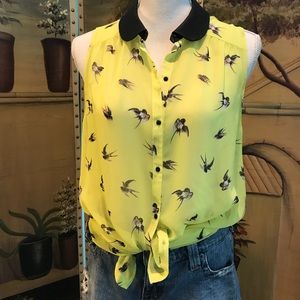 Citrine Zara Sheer Top w/ Faux Blk Leather Collar